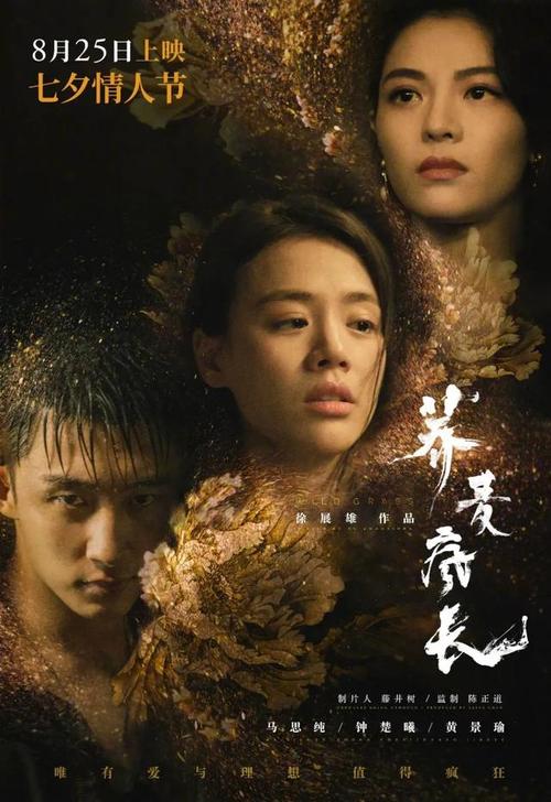 农业银行转账支票哪里可以做图片